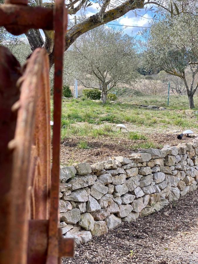 Gite Romarin Avec Spa Saint-Jean-de-Barrou المظهر الخارجي الصورة